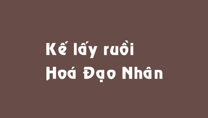 Kế lấy ruồi Hoá Đạo Nhân