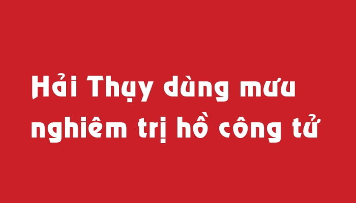 Hải Thụy dùng mưu nghiêm trị hồ công tử